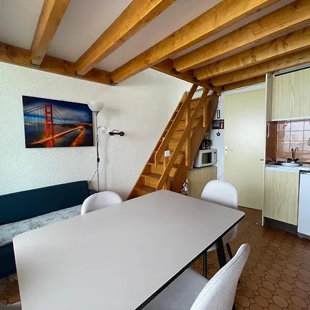 아파트 Saint-cyprien - Duplex 2 Avec Terrasse Et Parking Prive - Fr-1-309-507
