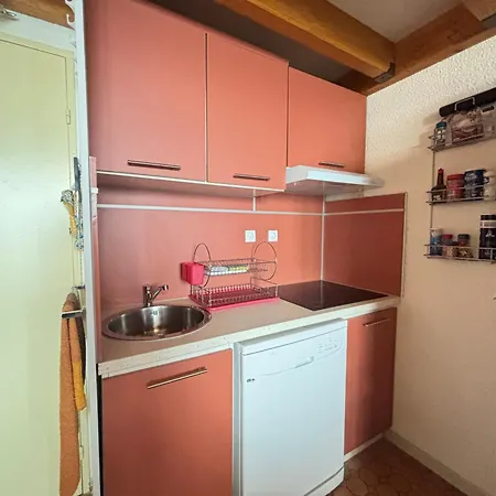 Saint-cyprien - Duplex 2 Avec Terrasse Et Parking Prive - Fr-1-309-507 * Saint-Cyprien (Pyrenees-Orientales)